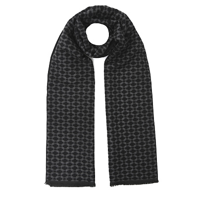 VGU5-2 Шарф муж. 85% вискоза, 15% полиэстер 35x190 FABRETTI